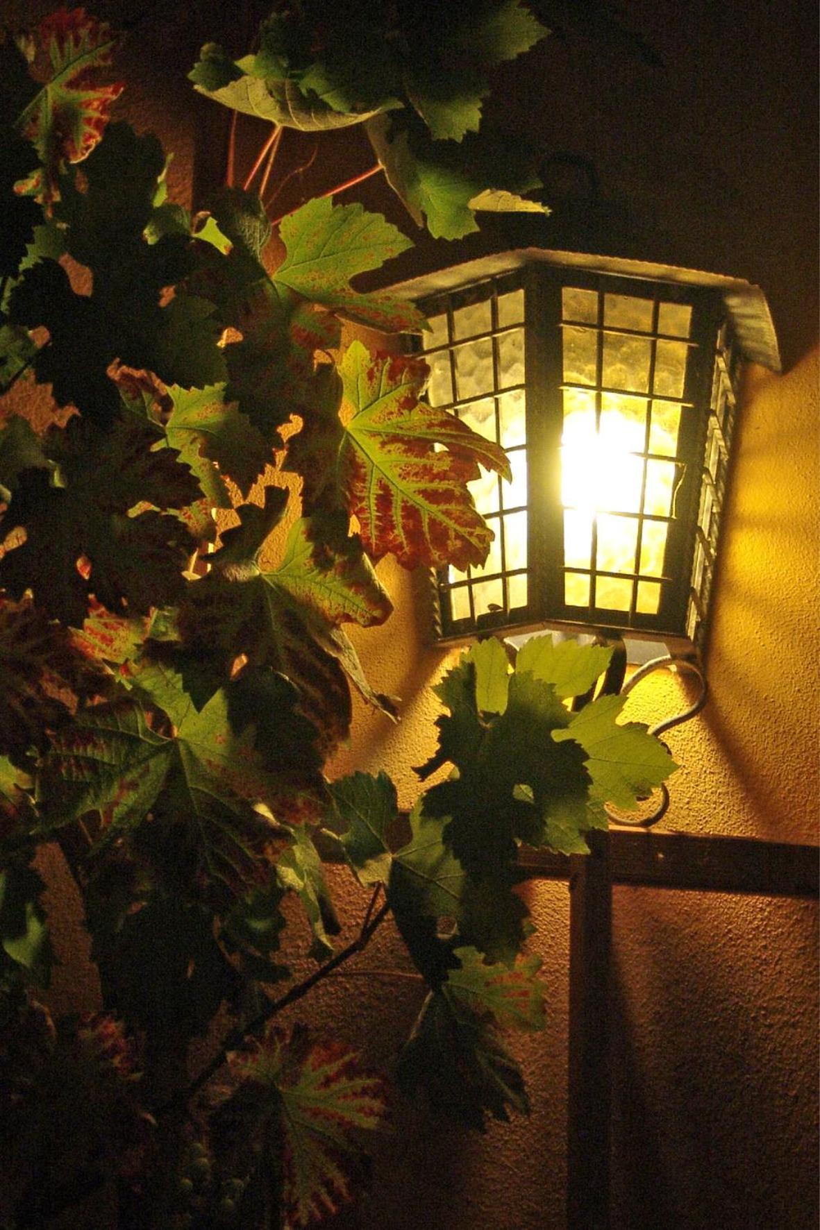 Elbschloesschen Refugium Otel Pirna Dış mekan fotoğraf